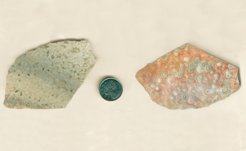 Slab of Mexican Dogtooth Lace Agate, with one orange and one gray side, one patterned with eyes and the other with folds.