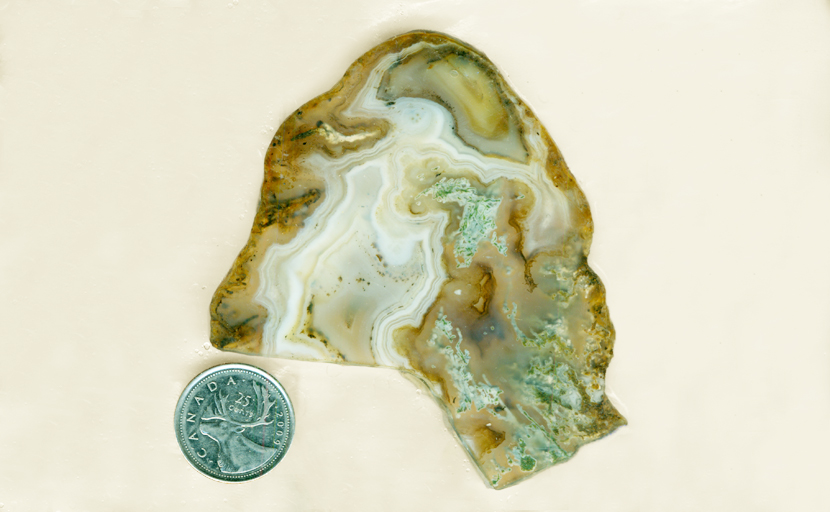 Green, white and coffee-colored Ochoco Moss Agate from Oregon with moss inclusions and fortification patterns.