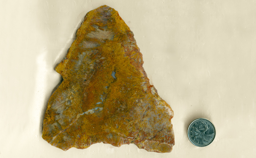 Triangular slab of Mexican Sagenite Agate, full of orange-yellow needles growing in blue agate, with little fortifications in the spaces in between.