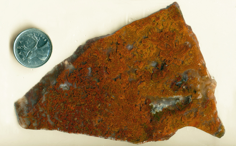 Orange, yellow and red moss-patterns in a slab of Oregon Moss Agate.