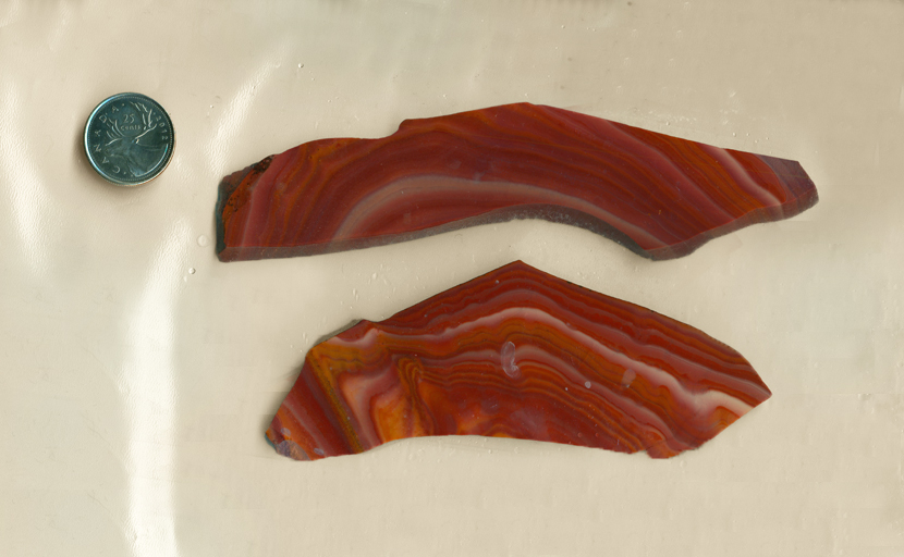 2 slabs of Hickoryite from Mexico, a Rhyolite with wood-like swirls of reddish-brown, yellow and pink colors.