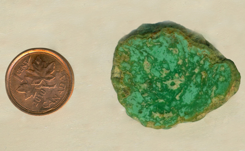 Light and dark strong green mixed together in a vaguely oval-shaped variscite slab from Fairfield, Utah.