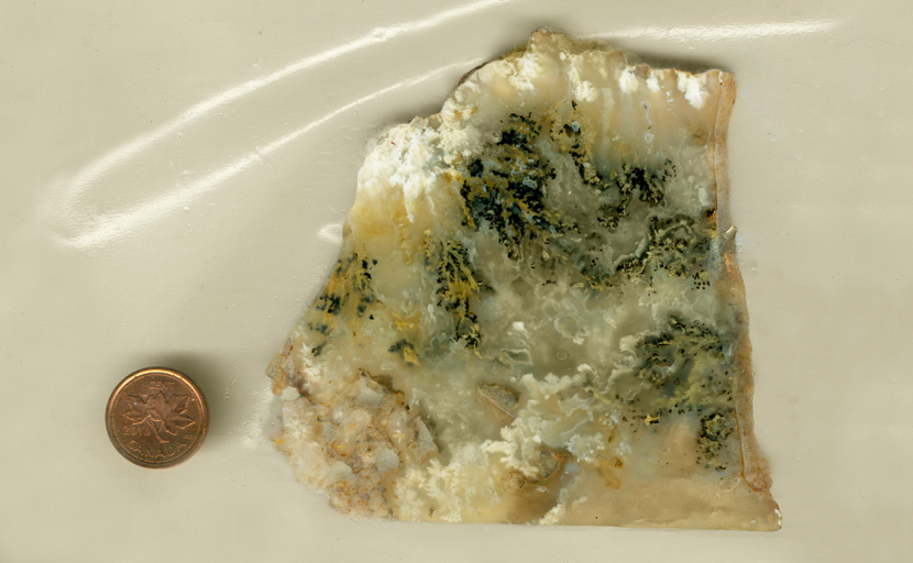 A slab of plume agate from Graveyard Point, Idaho with golden and black plumes and white plumes along the top. 