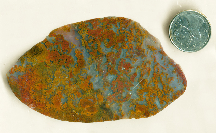 Orange and red moss in a blue medium in a slab of Laredo Moss Agate from Texas.