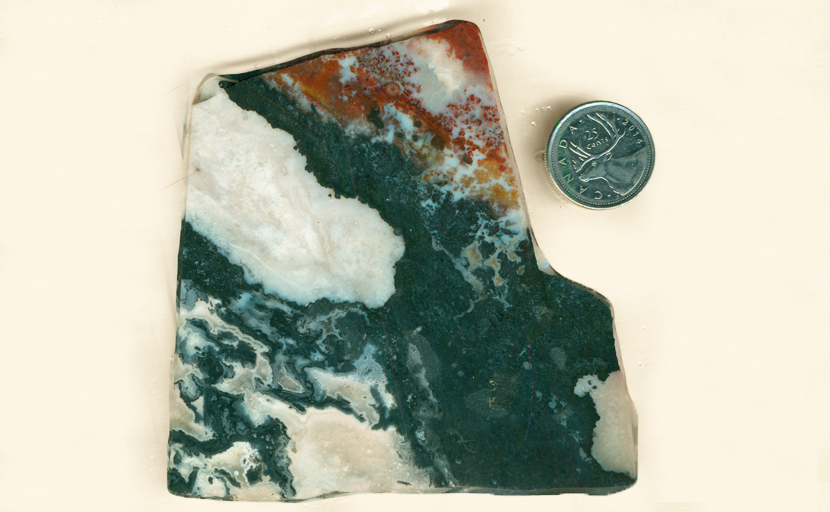 Black, red and white slab of Zebra Agate from India.