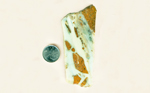 Cool blue among reddish brown in a slab of Ocean Picture Rock from British Columbia, Canada.