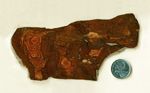 Reddish-brown slab of Biggs Jasper from Oregon, with a series of patterns like and aerial view of mountains.