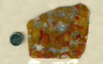 A slab of Vaquilla Agate from Mexico, with blotches of yellow, orange and red floating on a blue surface.