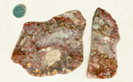 2 slabs of Jasper from India with red webs on a blue background.
