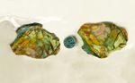 Two sides of a slab of Morrisonite Jasper, patterned with orange, green, yellow, pink and red. 