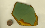 A bright, scenic jasper slab from Idaho, with green sky and golden ground.