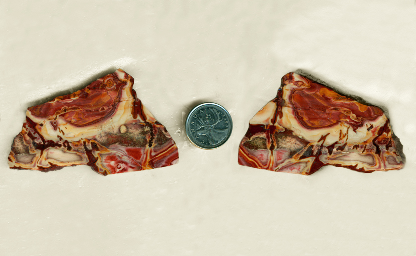 Red, yellow, beige and purple slab of Candy Rock Rhyolite from Oregon.