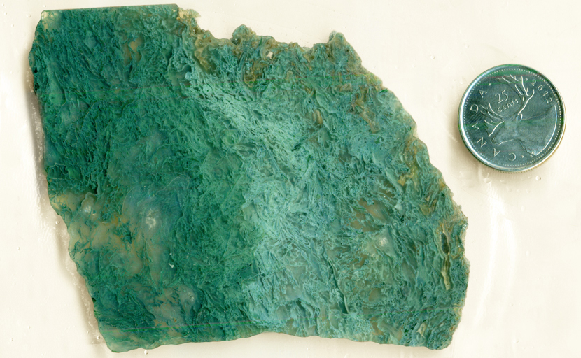 Aqua and green moss in a slab of Ochoco Moss Agate from Oregon.