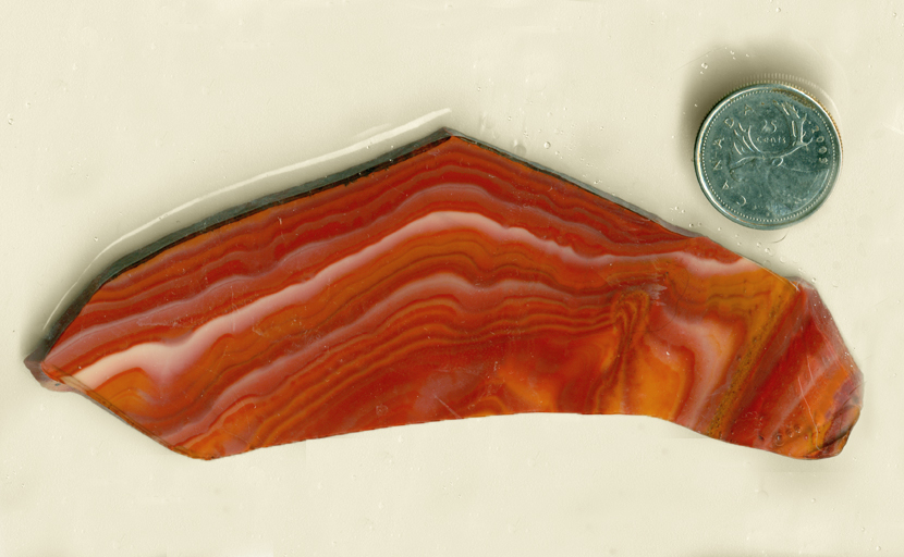 Yellow, brown, red, pink and white flowing lines in a slab of Mexican Hickoryite (Aztec Miracle Stone), a type of Rhyolite.