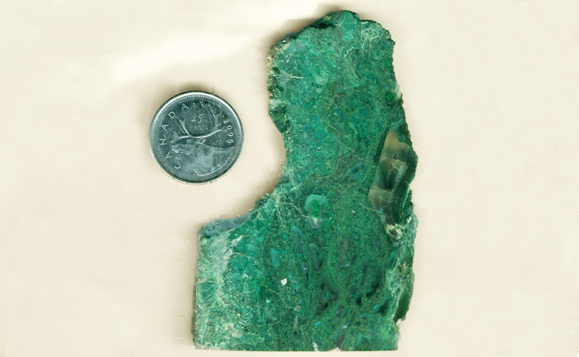 Bright green slab of Chrysocolla-in-Chalcedony from the Inspiration Mine in Arizona, patterned like a thick jungle.