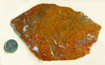 Orange and red patterns intermingled with cool blue fortifications in a large slab of Roostertail Agate from Durango, Mexico.