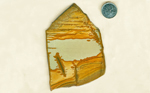 Blue, gold and reddish Owyhee Picture Jasper slab from Idaho.