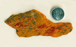 Bright red and orange flowing among gray shapes in a slab of Petrified Wood.