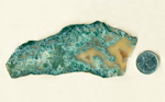 Blue-green moss floating in translucent chalcedony in a slab of Wind River Moss Agate from Wyoming.