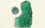 Bright green slab of Chrysocolla-in-Chalcedony from the Inspiration Mine in Arizona, patterned like a thick jungle.
