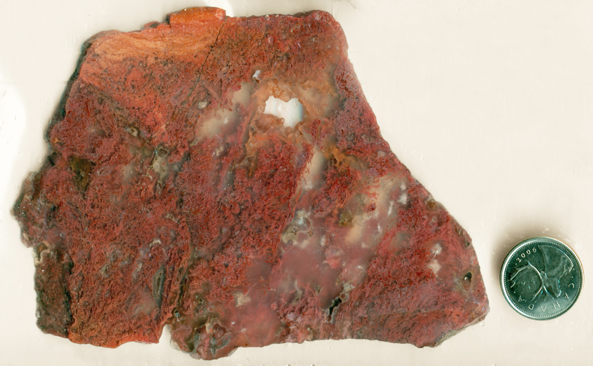 Hanging red and orange moss inclusions in a slab of translucent Pink Moss Agate from Oregon.