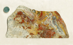 Red, yellow, orange, black and white leaf patterns across a panoramic slab of Mexican Crazy Lace Agate.