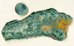 Blue and green moss, suspended in translucent agate. A striking example of this agate species, from Wyoming.