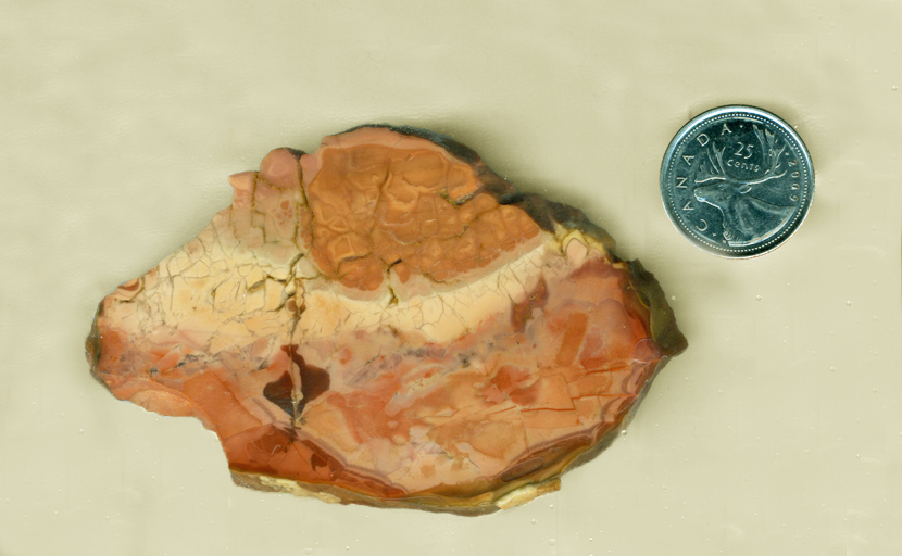 Orange-pink patterned slab of Morrisonite (Morrison Ranch Jasper) from Oregon, with a lighter creamy section across the middle.