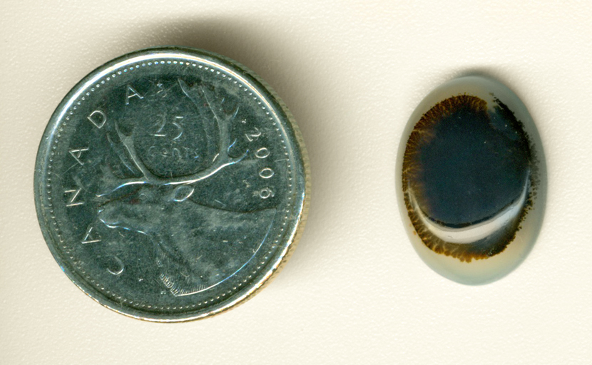 Translucent cabochon of Montana Agate with an orange and black lily-pad inclusion in the middle of it.