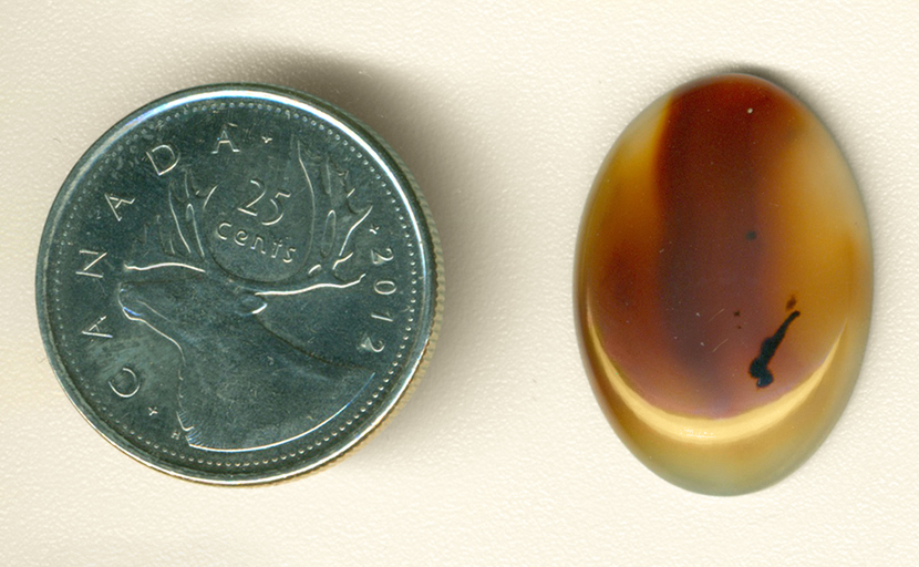 A gold- and smoke-colored cabochon of Montana Agate, with dark inclusions.