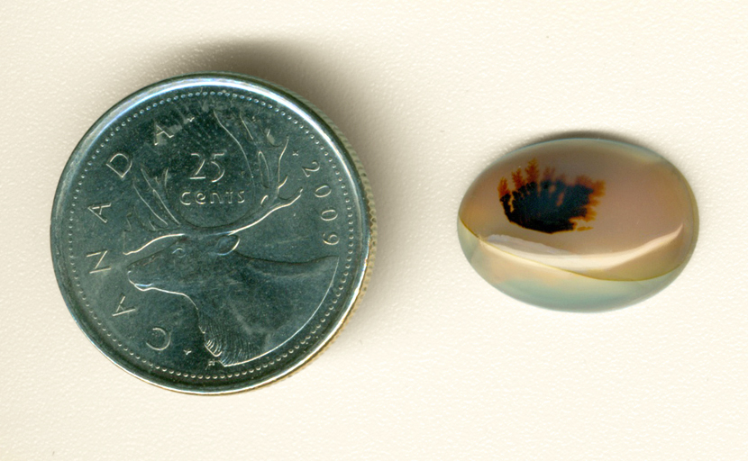 Polished orange Montana Agate cabochon, with black and orange dendrite pattern.