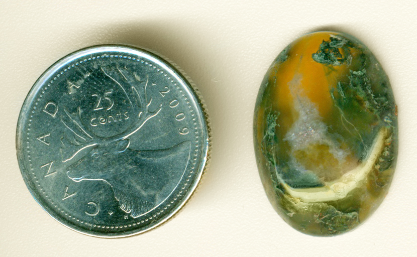 Green and blue moss in a yellow-orange translucent cabochon of Horse Canyon Agate.