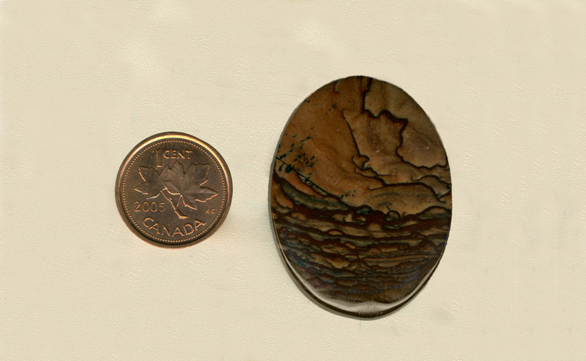 Calibrated polished Biggs Picture Jasper cabochon from Oregon, with a series of brown and red ridges, separated by black.