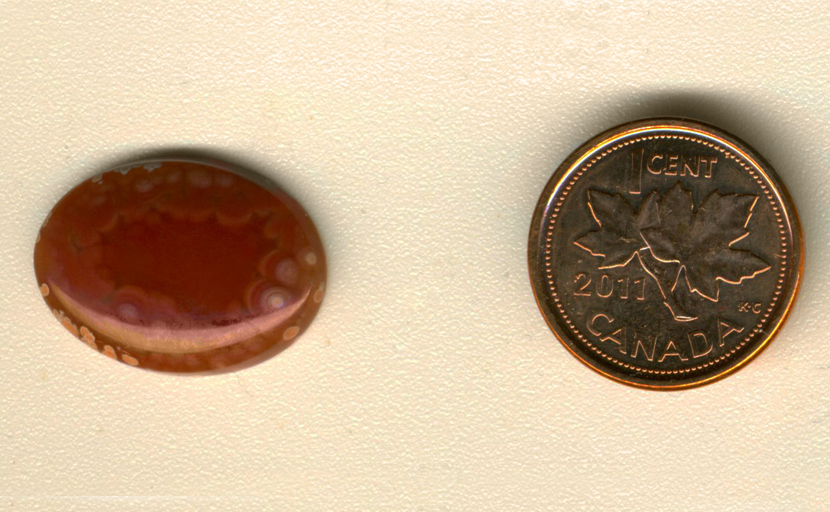 Calibrated oval polished Coyamito Agate cabochon from Mexico, red with white patterns thrusting toward the surface.