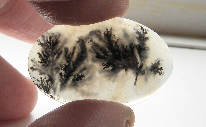 Detailed black tree patterns suspended in an Eagle Rock Agate cabochon from Oregon.