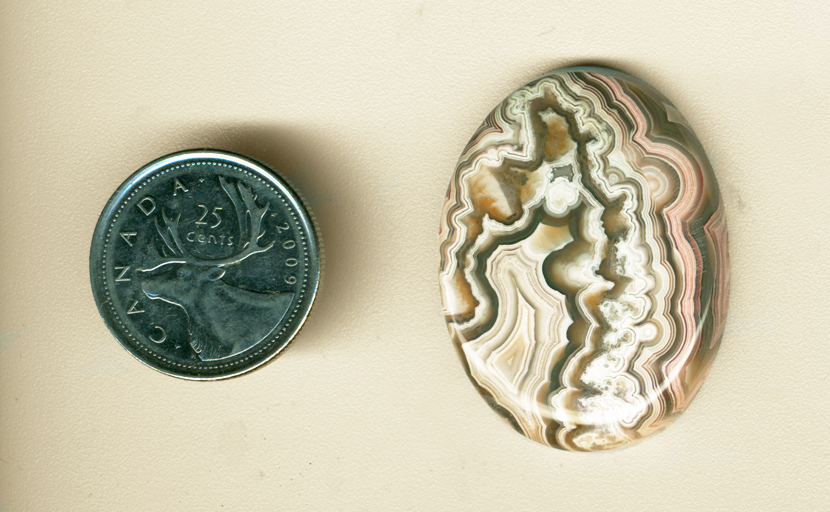 Polished cabochon of Mexican Crazy Lace Agate, with a central white fortification and white lace patterns, with pink lace patterns around the edges.