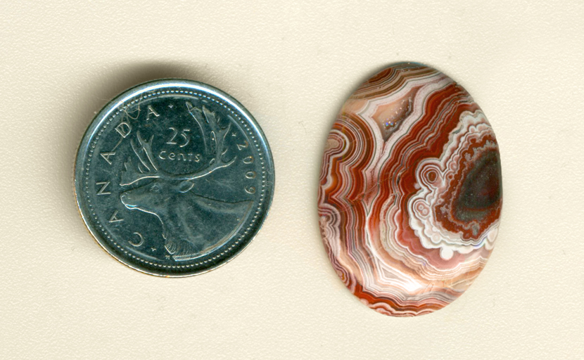 Polished cabochon of Crazy Lace Agate from Mexico, with intricate patterns of red and white with a sparkly druzy crystal pocket.