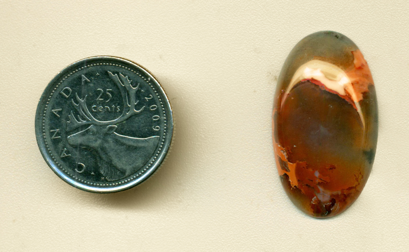 Polished Richardson Ranch Agate cabochon, with brown, white and orange flames spreading through clear chalcedony, colored with the flames and dark dendrites.