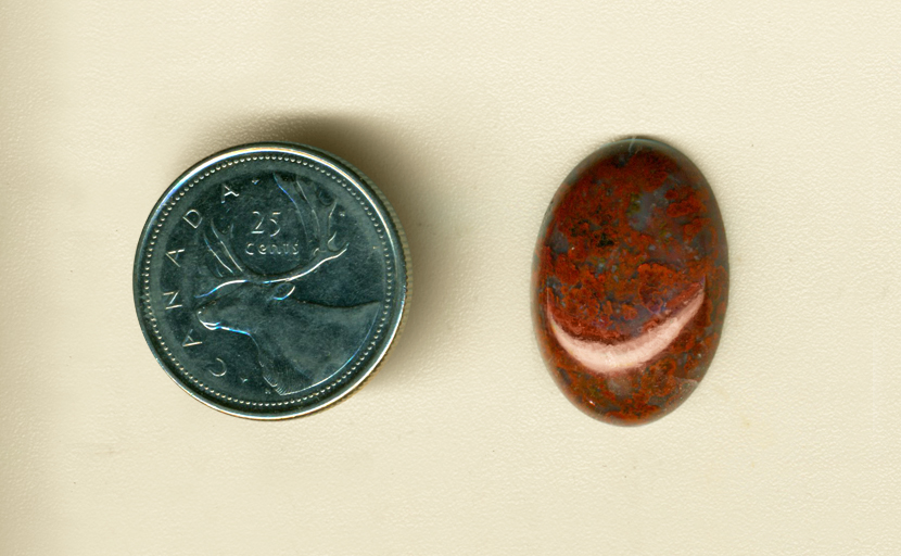 Cabochon with red flowers on a deep blue surface, the shadows between giving it a 3D effect.