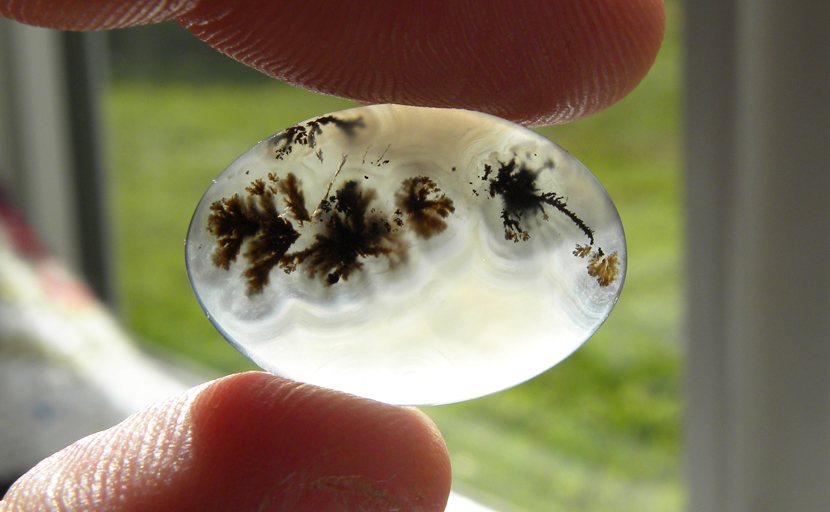 Dark, intricate moss against a bright chalcedony background, in a cabochon of Eagle Rock Agate from Oregon.