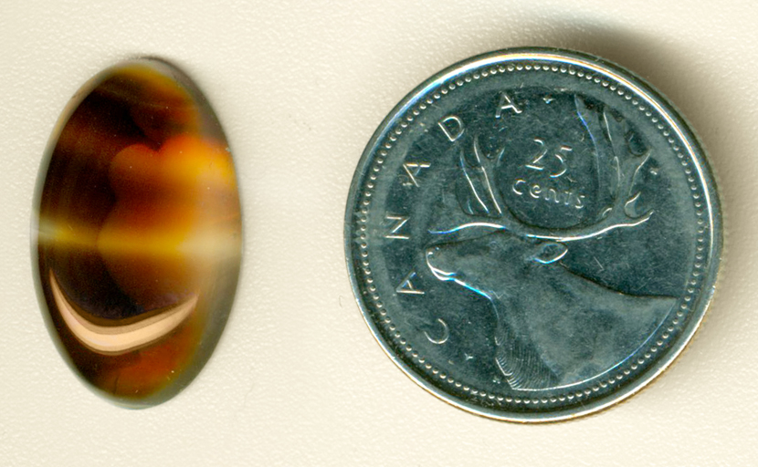 Light and dark coffee-colored cabochon of Montana Agate, with several clear windows and streaks across the darker background.