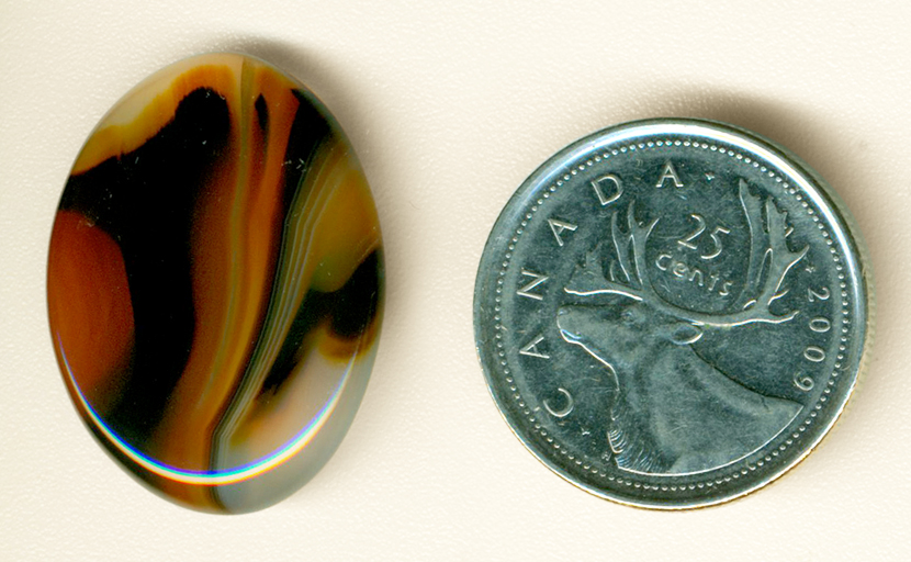 Orange, black, yellow and clear patterned cabochon of Montana Agate.