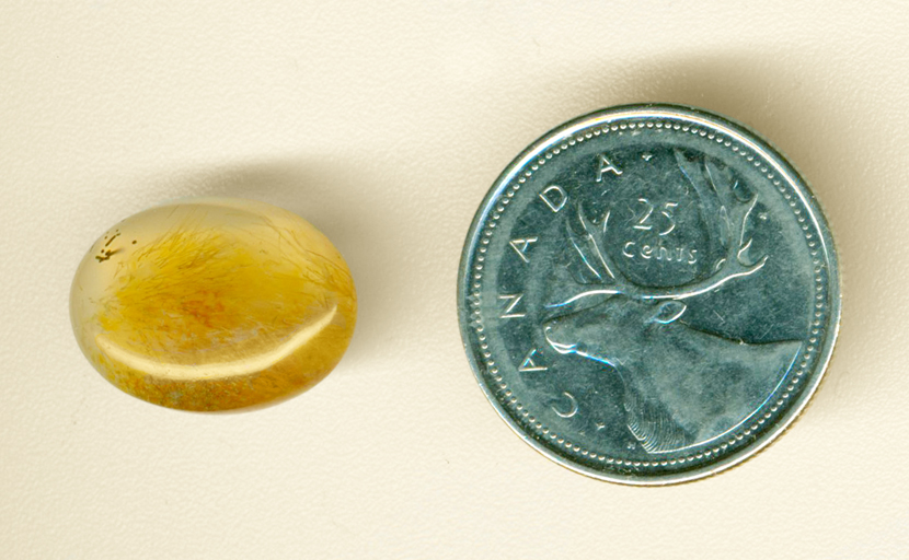 Yellow and orange needles in a clear cabochon of Sagenite Agate from Nipomo, California.