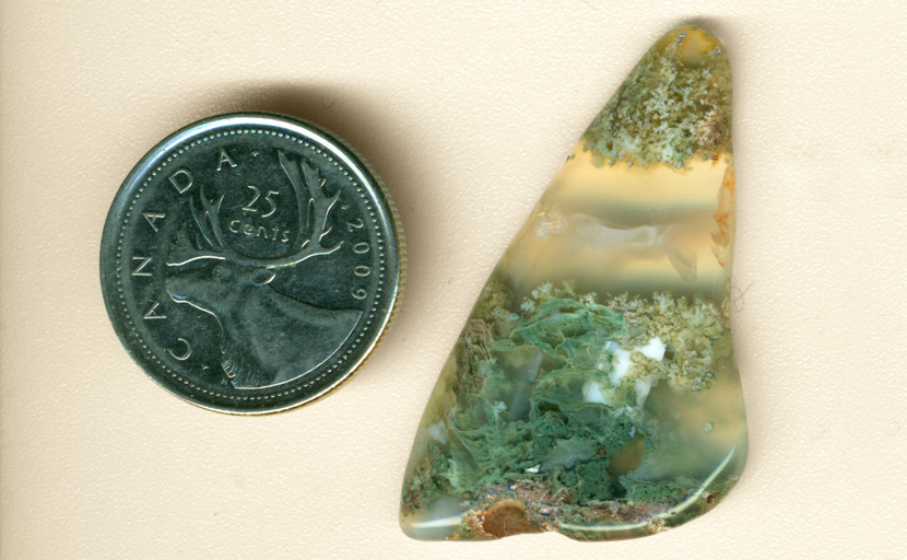 Freeform polished Ochoco Green Moss Agate, with floating moss inclusions in clear chalcedony.