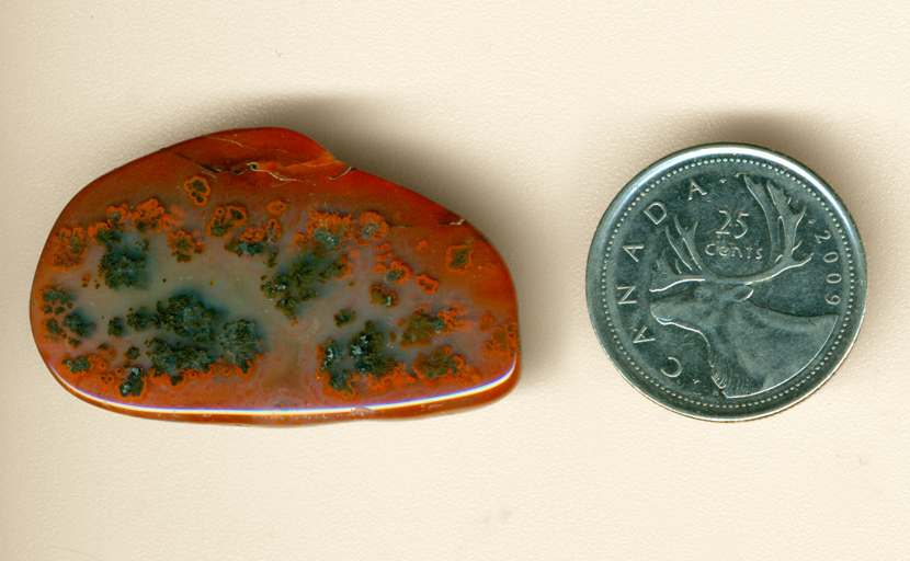 Black plumes in a Red and blue Texas Plume Agate freeform.