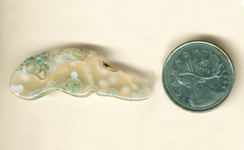 Blue-green moss inclusions in a clear, freeform Ochoco Moss Agate from Oregon.