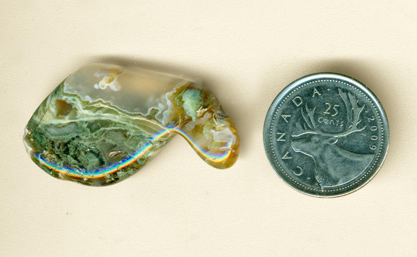 Blue-green moss inclusions growing in clear chalcedony - a freeform polished Horse Canyon Agate from Tehachapi, California.