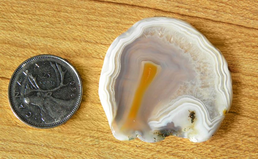 Bright white lace patterns and orange streak in polished freeform Laguna Agate from Mexico.