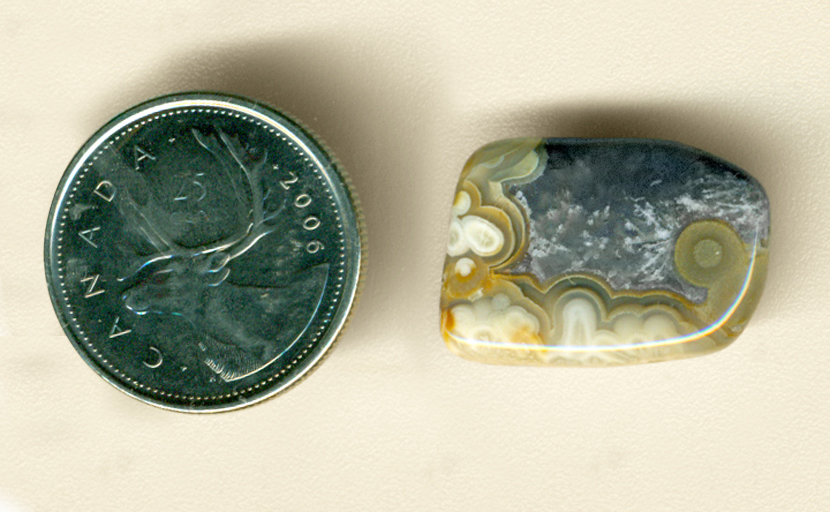 Yellow-orange concentric layers on white, with sagenites in blue-gray in the middle, in a freeform polished Crazy Lace Agate from Mexico.