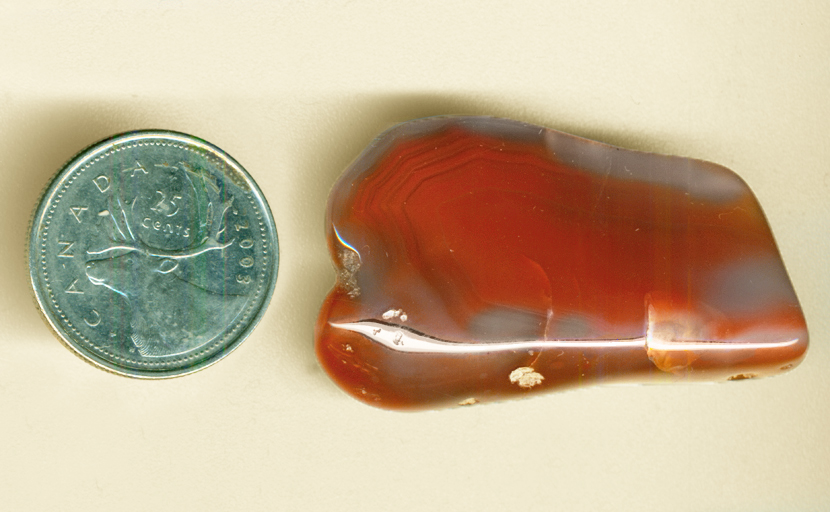 Orangey-red and pale blue fortification patterns in a tumble-polished piece of Australian Agate.